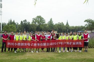 Китай Sichuan Small Minimally Invasive Passenger Ecommerce Ltd. Направление компании