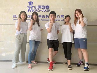 Китай Sichuan Small Minimally Invasive Passenger Ecommerce Ltd. Направление компании